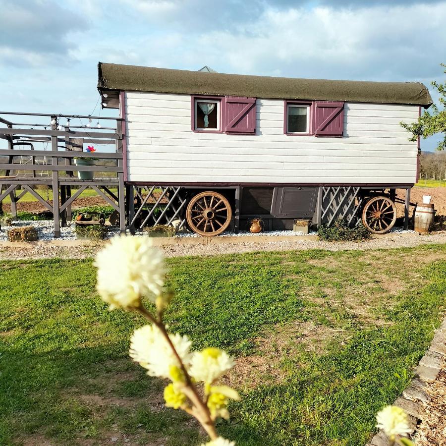 La Roulotte Belle Fleur Otel Saint-Nabord Dış mekan fotoğraf